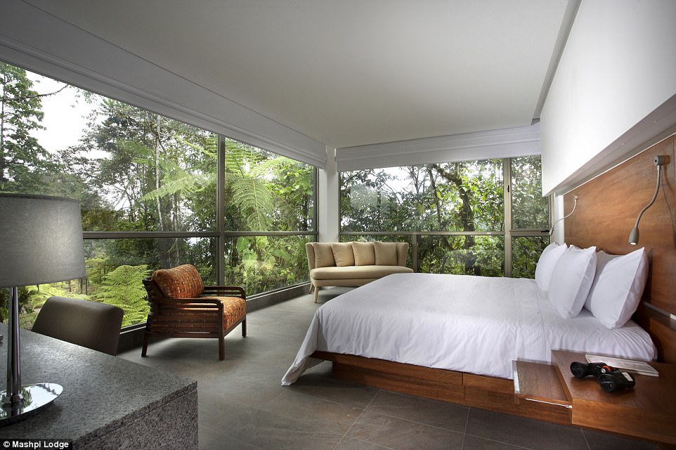 3EE5B17E00000578-4346742-image-a-10_1491220955403