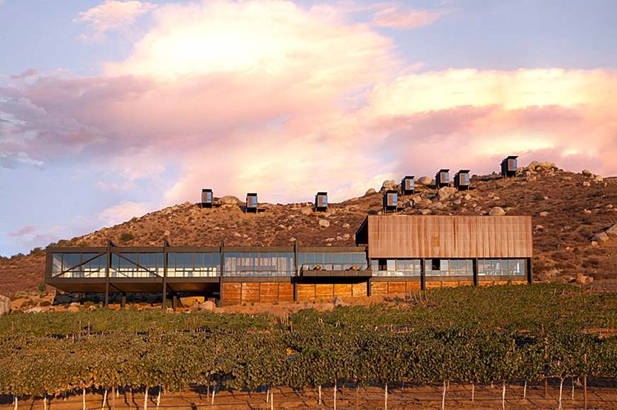 15930__870x_endemico-baja-california-mexico_12