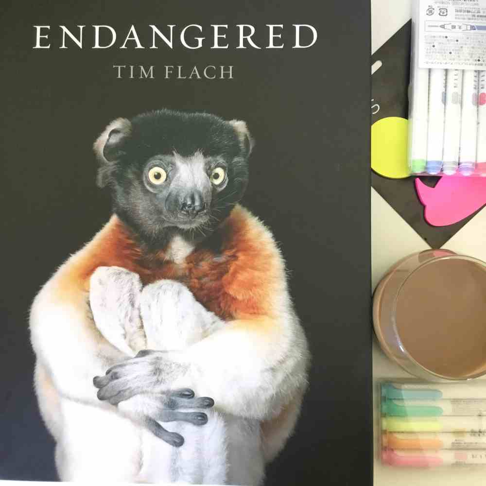 51c00bc6-4801-4b30-943f-044071ec448d